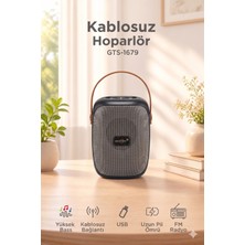 Başkenttekno Bluetooth Hoparlör Rgb Işıklı Fm Radyo Kablosuz Taşınabilir Speaker GTS-1679