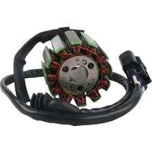 Grifin Soft Yzf R1 2004 08 Sargı Statör