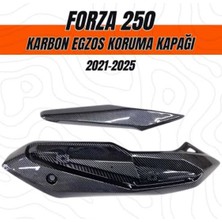 Grifin Soft Forza 250 Karbon Egsoz Muhafazası 2021 2024