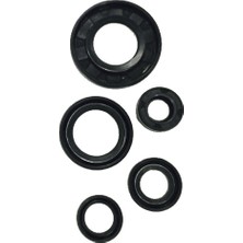 Grifin Soft Ybr Esd 125 Motor Keçe Seti