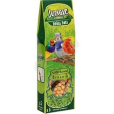 2 Adet Jungle Doğal Dal Darı