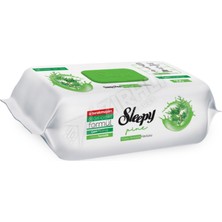 2 Adet Sleepy Yüzey Temizlik Havlusu Çam Ferahlığı 100'LÜ