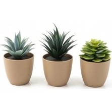 MarkEntegra Mini Yapay Sukulent Seti, 8 cm Saksı ile Dekoratif Bitki Tasarımı