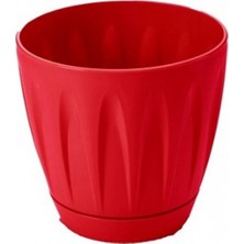 MiraLive Papatya Saksı 3 Litre -P003