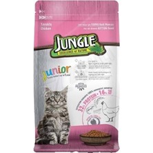 Jungle Tavuklu Yavru Kedi Maması 1,5 kg