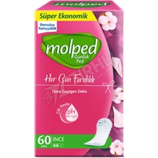5 Adet Molped Günlük Her Gün Ferahlık Eko 60 Lı