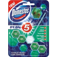 4 Adet Domestos Wc Blok Çam Ferahlığı 55 gr