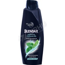 5 Adet Blendax Mentollu Erkek Şampuan 500 ml