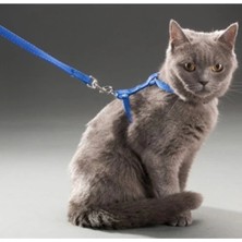 MiraLive Kedi Boyun ve Göğüs Tasması
