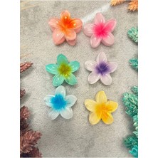 Hb Tasarım Mini Boy Lotus Çiçeği Mandal Toka 6'lı Set Kaliteli ve Canlı Renkli Lotus Toka