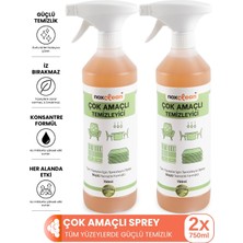 Noxclean Çok Amaçlı Temizleyici Sprey 750 ml 2’li Avantaj Paketi | Tüm Yüzeyler Için Etkili Temizlik