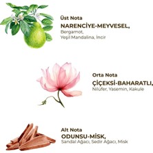 Urfakent Kadın Roll On Deodorant 75 ml Active