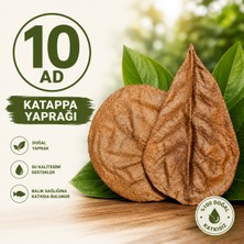 10ADET Katappa Yaprağı Büyük Boy