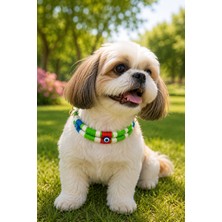 She Sells Tutti Frutti Kedi Köpek Kolyesi