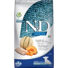 N&D Nd Ocean Morina Puppy Mini Tahılsız Köpek Maması - 2.5 Kg