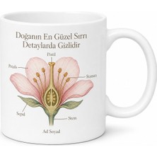 Tupya Gift Çiçek Anatomisi Temalı Baskılı Kupa Bardak Hediye Botanik Porselen Mug