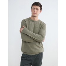 Lcw Vision Yeşil Regular Fit Petek Dokulu Erkek Triko Kazak