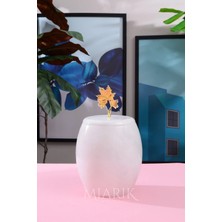 Miarik Design Dekoratif Mermer Oval Çöp Kovası