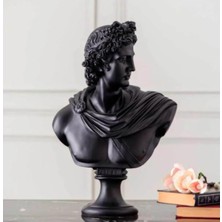 Miarik Design Apollon Bust Heykel Biblo