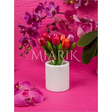 Miarik Design Beyaz Mermer Dıs Fırcalık