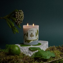 Liar's Candle & More Fig Leaves