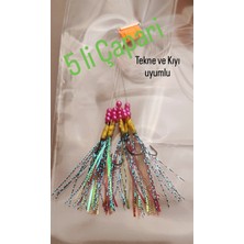 Hobimexpress Çapari Özel Üretim Multicolor 5 Iğneli 200 gr Atarlı Kıyı ve Tekne Için Uyumlu
