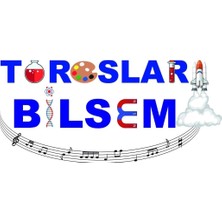 Eğiteklab Toroslar Bilsem Arduino Eğitim Seti Takım Çantası