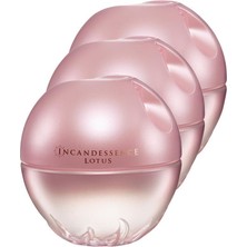 Avon Kadınlar İçin Incandessence Lotus EDP 50 ml Üçlü Set Meyveli Koku