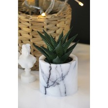 Miarik Design Mermer Leylak Vazo Sunumluk