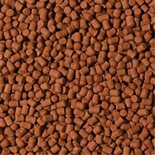 Tropical Food For Sterlet 250GR Balık Yemi (Açık)