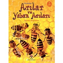 Tübitak Yayınları İlk Okuma - Arılar ve Yaban Arıları - James Maclaine - Bilim & Teknik Türünde 7+ Yaş Kitabı