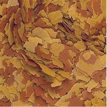 Tropical Vitality&colour 50 gr Balık Yemi (Açık)
