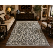 Hoom Rugs Elegant 006 Antrasit Vizon Doğal Elyaf Yansımalı Klasik Desenli Salon Halısı