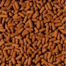 Tropical Cichlid Arowana Large Sticks 100GR Balık Yemi (Açık)