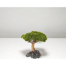 Marimo Scape Moss Sarılı Dekor Ağaç Figürü 8-13 cm Akvaryum Kullanımı İçin Doğal Tasarım