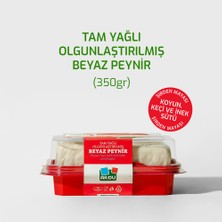 Akdu Peynir Tam Yağlı Beyaz Peynir 350 gr - Koyun Sütü Ağırlıklı, Olgunlaştırılmış, Şirden Mayalı