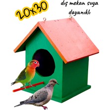 ncy Ahşap Kumru Güvercin Cennet Papağanı Kuş Yuvası Dış Mekan Suya Dayanıklı 20X30 cm