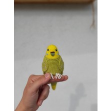 Renkli Ve Kreatif Amigurumi Örgü Muhabbet Kuşu