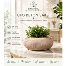 BitkiTÜRK 🌿 Ufo Beton Saksı Bonsai Dekoru – Masaüstü Beton Saksı, Bonsai Saksısı, Ev ve Ofis Dekoru, Dekoratif Beton Saksı, Hediyelik Ürün
