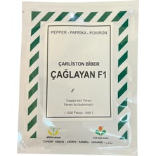 Çağlayan F1 Çarliston Biber Tohumu (1.000 Adet)