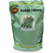 Bursa Tohum Alman Ayşe 4 1kg