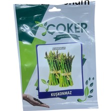 Çoker Kuşkonmaz (Asparagus) Tohumu (10 Adet)