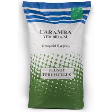 Caramba Tetraploid Ryegrass – Ulusoy Tohumculuk 25 kg