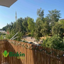 Bişkin Doğal Kamış Çit 1x6 M Misinalı Dekoratif Bahçe ve Teras Çiti