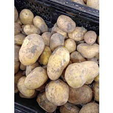 CBM Patates Tarladan Size 10 Kilo