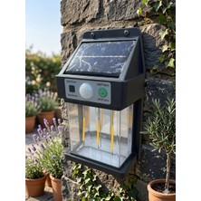 Silva Nature Güneş Enerjili Sensörlü Duvar Apliği LED Bahçe Lambası Hareket Sensörlü Dış Mekan Aydınlatma