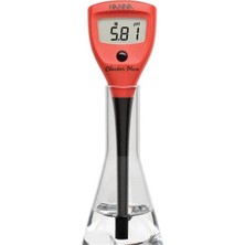 Hanna Instruments HI98100 Hanna Hı 98100 Ince Problu Ph Ölçer 0.01 Ph