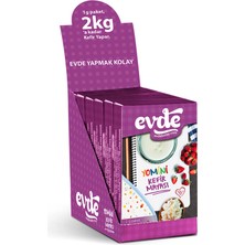 Evde Yomini 5'li Kefir Yoğurt Mayası (2 Adet)