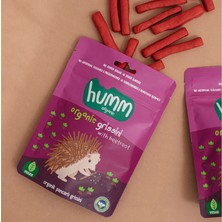 Humm Organic Organik Vegan Pancarlı Grissini 55 gr (4 Adet)
