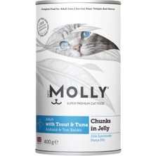 Molly Alabalık Ton Balıklı Yetişkin Kedi Konservesi 400 gr